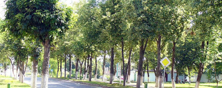 Park "Druzhby Narodov"