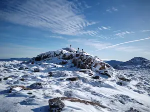 Ben Lomond National Park