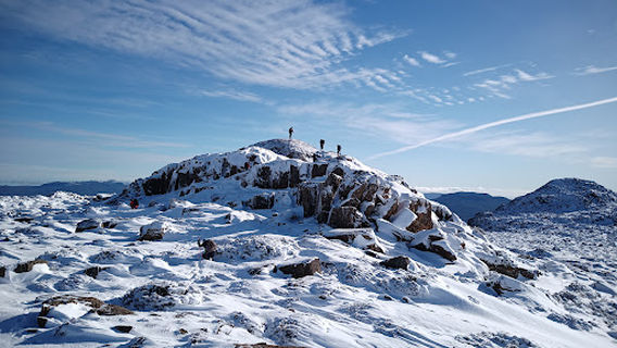 Ben Lomond National Park