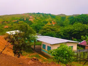 Virigua Centro