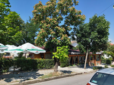 Complex Avalon