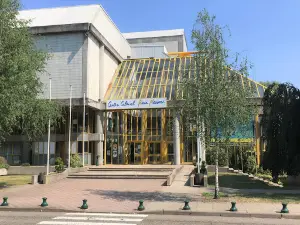 Centre culturel Pierre Messmer - CAC de Saint-Avold
