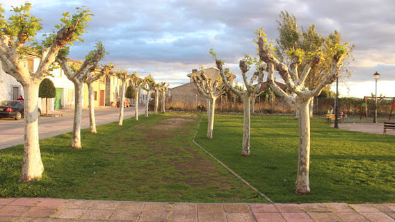 Donantes de Navarre Park