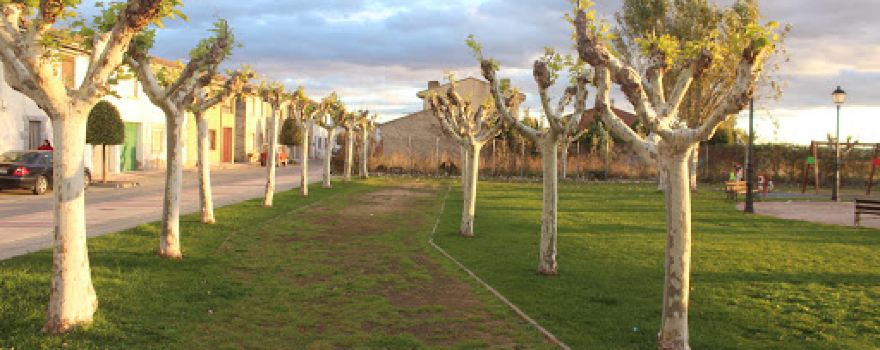 Donantes de Navarre Park