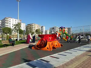 Jiyan Park