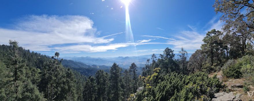Parador Turistico Santuario de la Mariposa Monarca “Senguio”