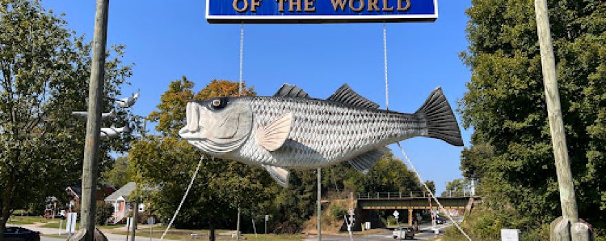 The Big Fish - Rockfish Capital Of The World