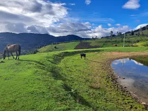 Laguna Margarital
