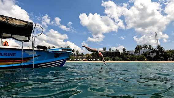 Whale Watching Mirissa With Wimal