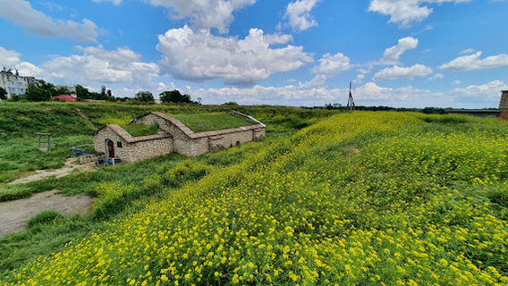 Tiraspol