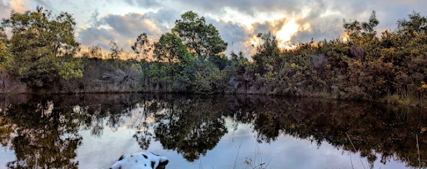 Woowookarung Regional Park