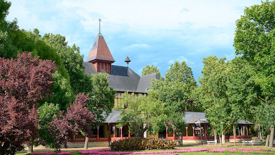 Palic