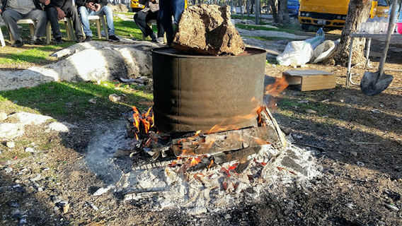 King of Bahrain Kingdom Forest