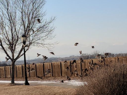 Settler's Park