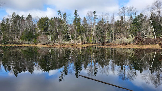Bonshaw Hills Provincial Park
