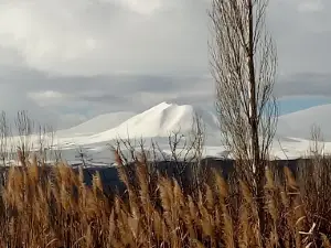 Yukarı Çarıkçı