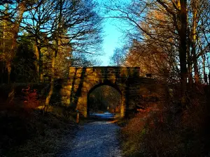Chopwell Woodland Park - Forestry England
