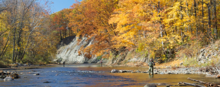 Steelhead Alley Outfitters - SAO