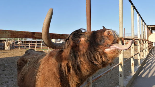 Klaipėdos zoologijos sodas