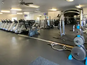 Bigwood Fitness LLC