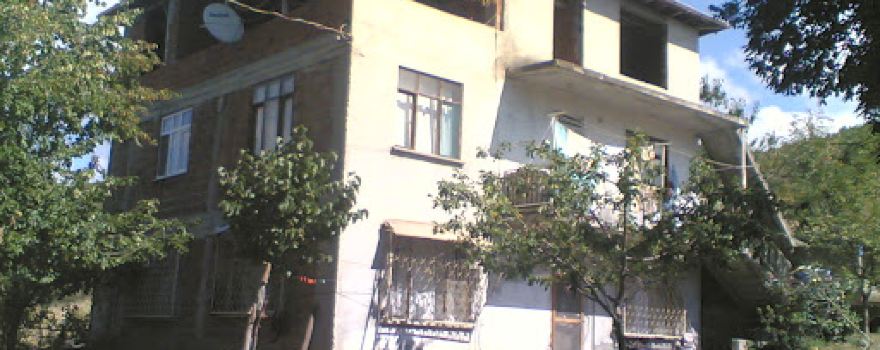 modikli