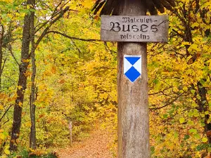 Buse Matkule hill fort