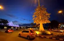 สะพานศรีตาปี