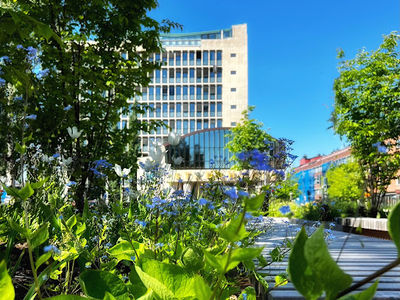 Stadsparken