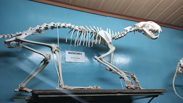 Natural Science Museum La Salle