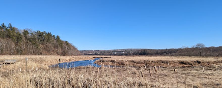 Miner's Marsh
