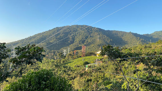 Laberinto de Apaneca