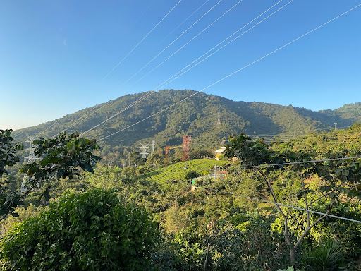 Laberinto de Apaneca