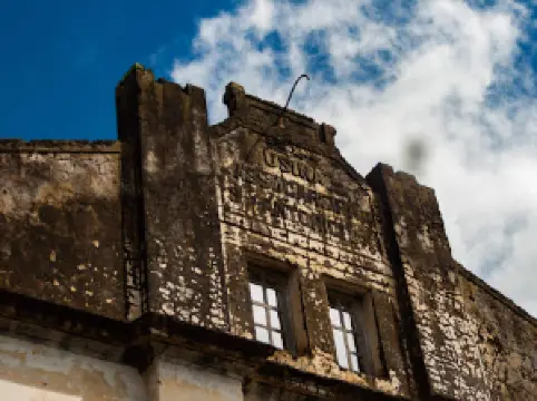 PLANT OLD SANTO ANTONIO SUGAR