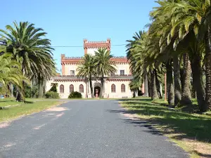 Francisco Piria Castle