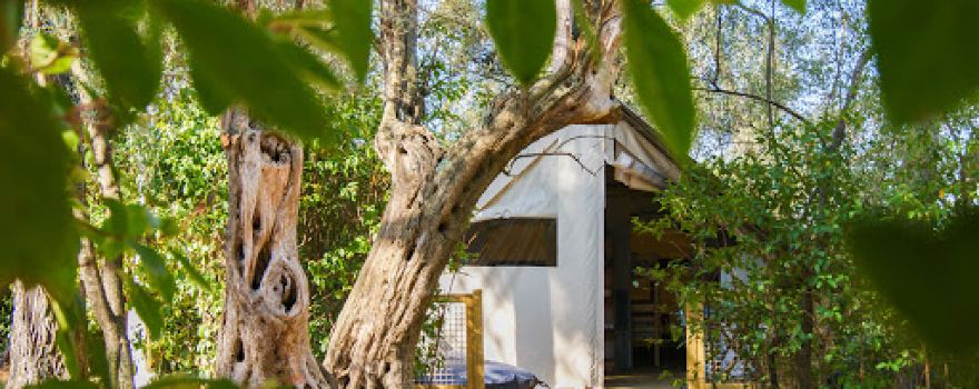Camping le Beau Vezé
