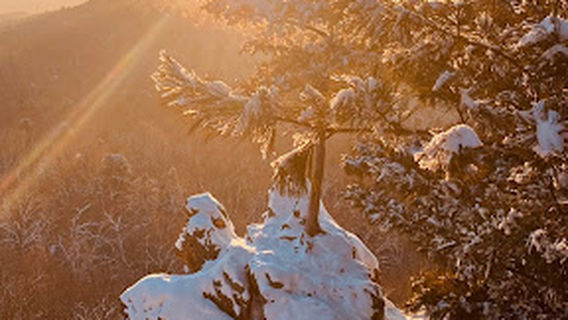 Bolshekhekhtsirsky Reserve