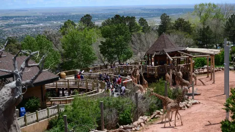 シャイエン・マウンテン動物園 attraction in コロラド州