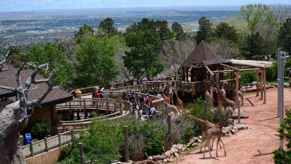 Cheyenne Mountain Zoo