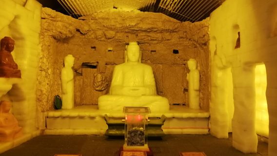 Discover the Frozen Kingdom