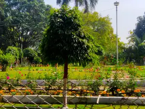 Paat Baba Mandir