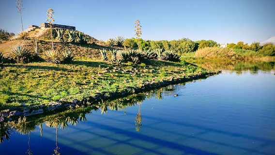 Centenario, Parque El Carmen de la Laguna Park