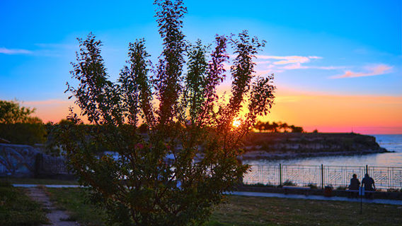 park imeni Hanny Akhmatovoi