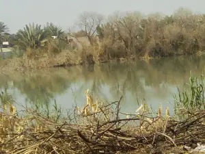 Hashemite Corniche Park