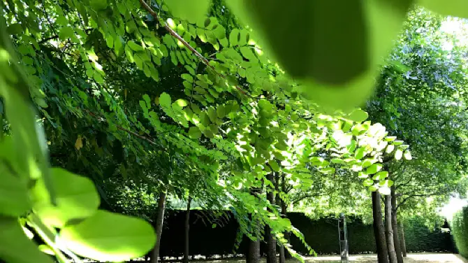 The Orchard Garden Cafe & Function Centre