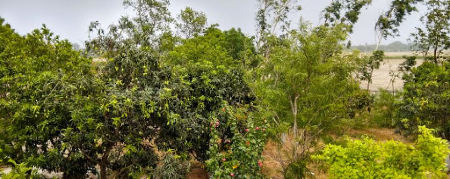 Prem Palace Garden