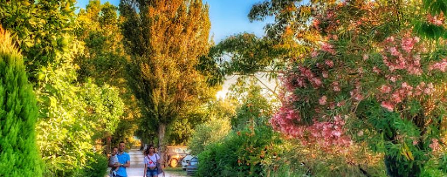 INTERNATIONAL GLAMPING LAGO DI BRACCIANO