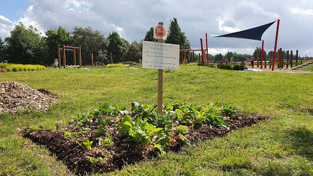 Thompson Street Playground