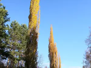 Park Goroda Tuymazy