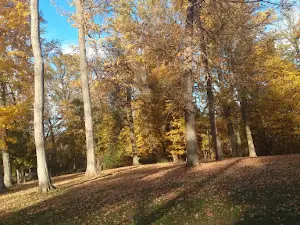 Manlove Park
