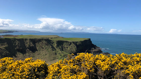 Bushmills